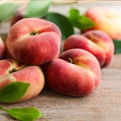 Donut Saturn Peach Tree 12 Donut Saturn Peach Tree -Garden-Plants Saturn Peach Tree 3