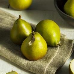 Seckel Pear Tree 10 Seckel Pear Tree -Garden-Plants Seckel Pear 5