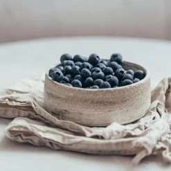 Sharpblue Blueberry Bush 7 Sharpblue Blueberry Bush -Garden-Plants Sharpblue Blueberry 1