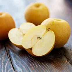 Shinseiki Asian Pear -Garden-Plants Shinseiki Asian Pear 5 FGT