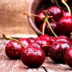 Skeena Cherry Tree 7 Skeena Cherry Tree -Garden-Plants Skeena Cherry 4 FGT