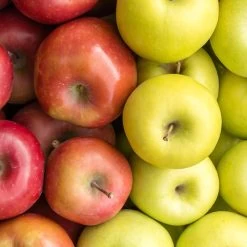 5-in-1 Apple Surprise Tree -Garden-Plants Surprise Apple 1