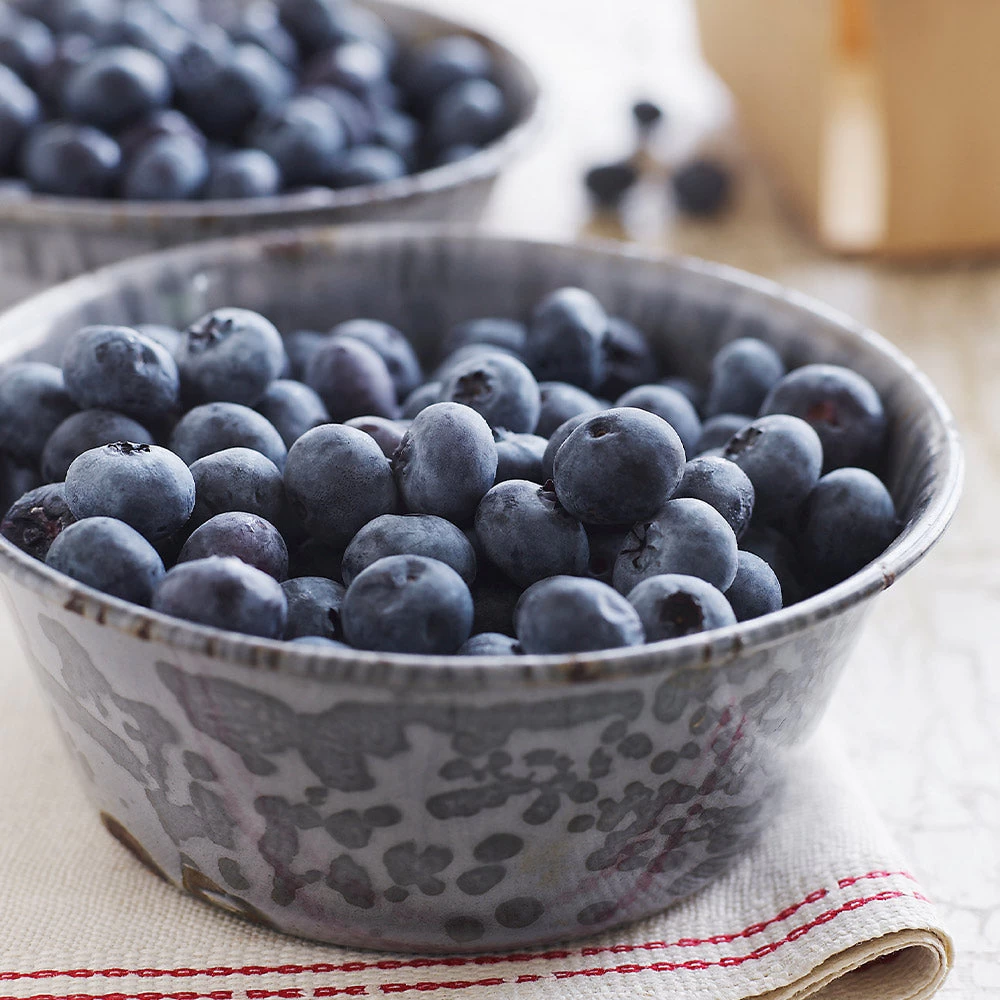 Sweetheart Blueberry Bush - USDA Organic 5 Sweetheart Blueberry Bush - USDA Organic - Image 3