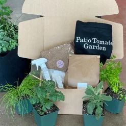 Patio Tomato Garden -Garden-Plants Tomato Garden kit 2