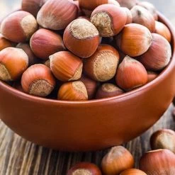 Tonda Di Giffoni Filbert -Garden-Plants Tonda Hazelnuts 400 2