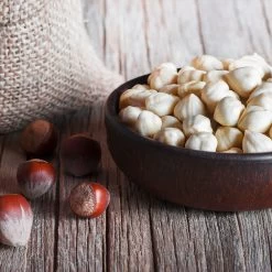 York Filbert Hazelnut -Garden-Plants York Hazelnut 5